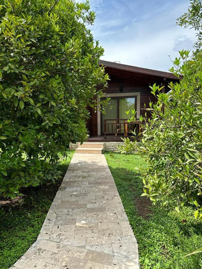 Cirali Villas 2 Exterior photo