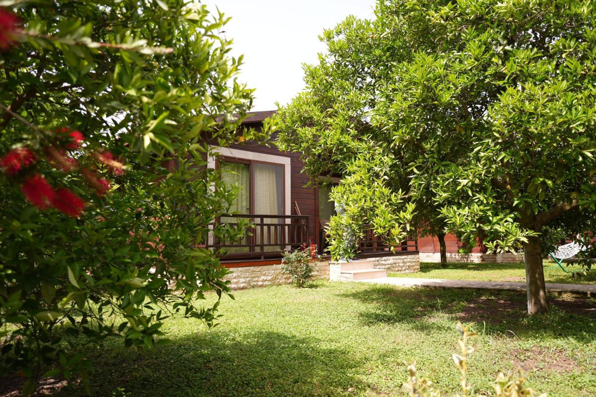 Cirali Villas 2 Exterior photo