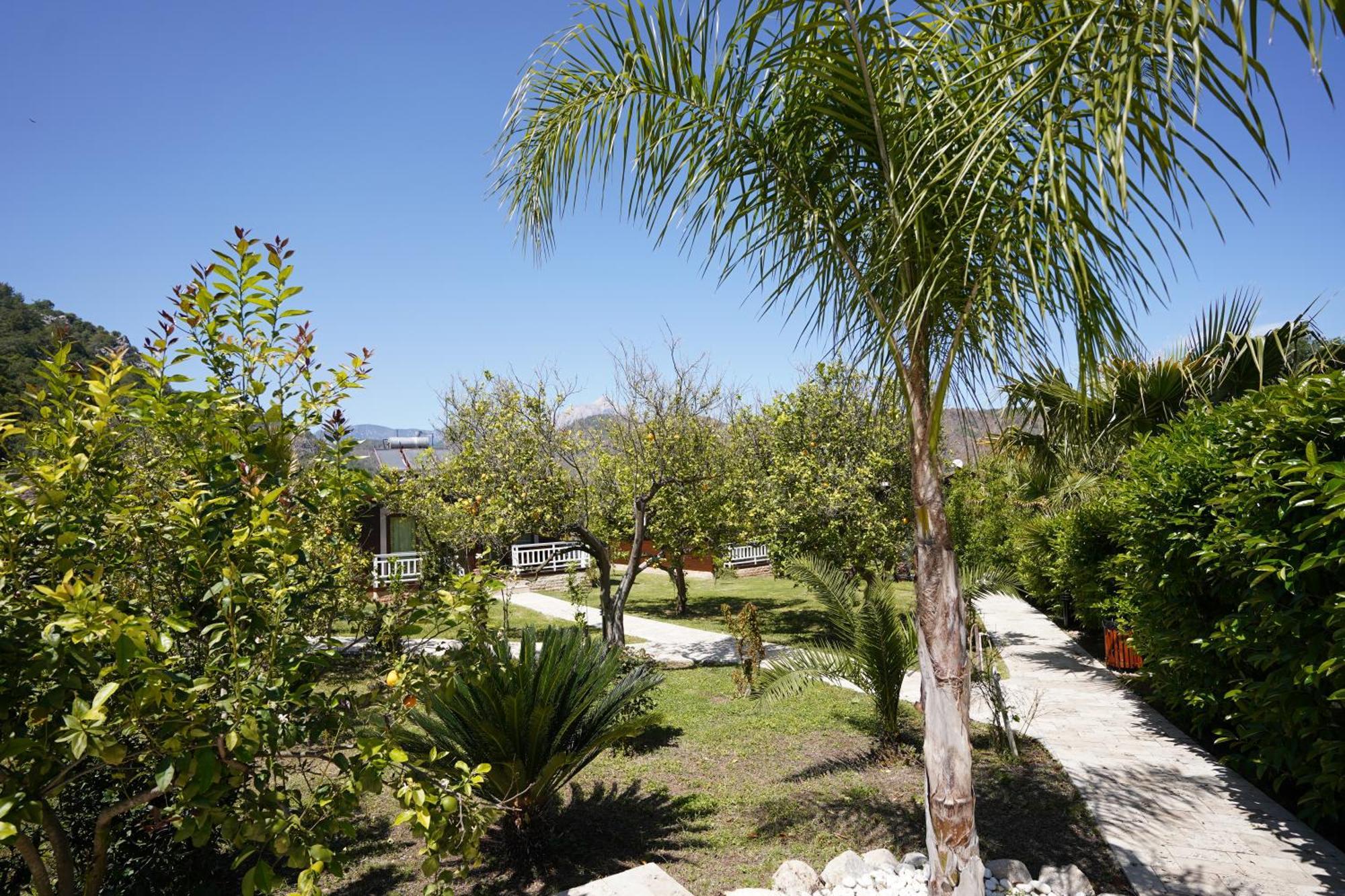 Cirali Villas 2 Exterior photo